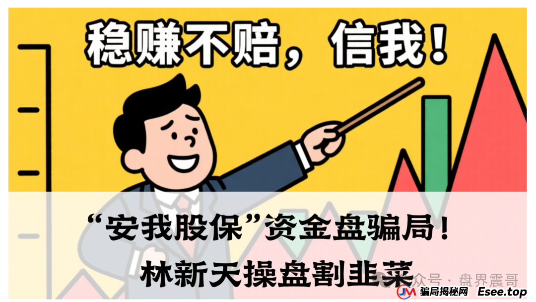 震哥独家起底:“安我股保”资金盘骗局!林新天操盘割韭菜,血本无归的真相