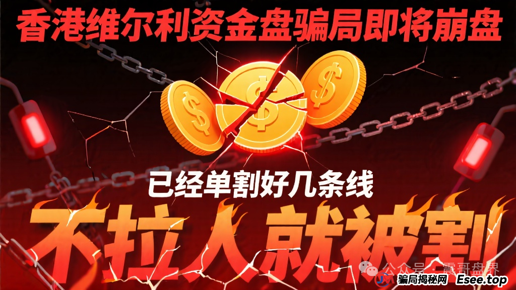 香港维尔利资金盘骗局即将崩盘,已经单割好几条线,不拉人就被割