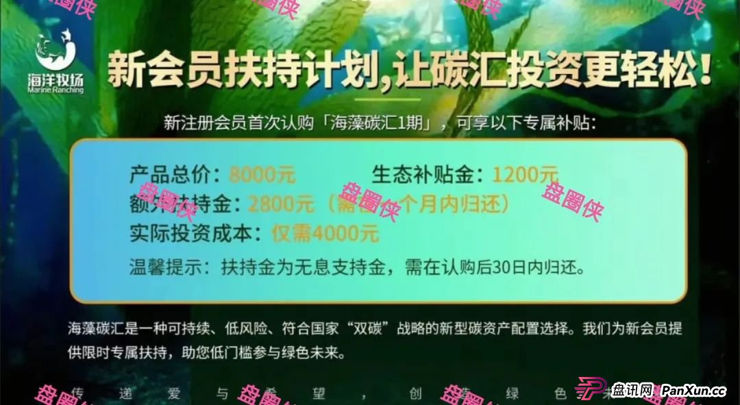 8月28日曝光‼️最新资金盘诈骗项目,东南财富,海洋牧场,嗨贝短剧随时可能卷钱跑路。(5) 8月28日曝光‼️最新资金盘诈骗项目,东南财富,海洋牧场,嗨贝短剧随时可能卷钱跑路。(5)