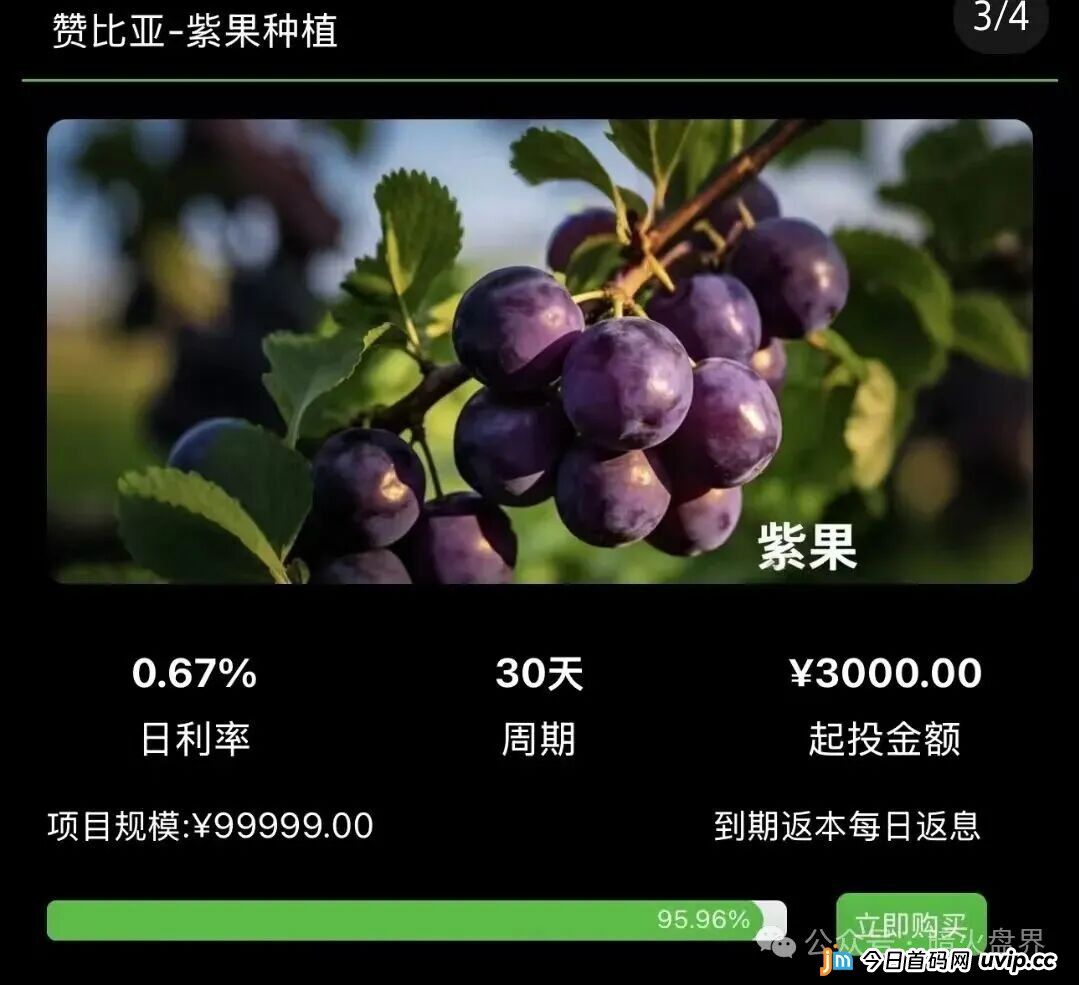 起底“华洋绿投”资金盘:年化超350%的海外种果树骗局,专坑想赚快钱的普通人(2) 起底“华洋绿投”资金盘:年化超350%的海外种果树骗局,专坑想赚快钱的普通人(2)
