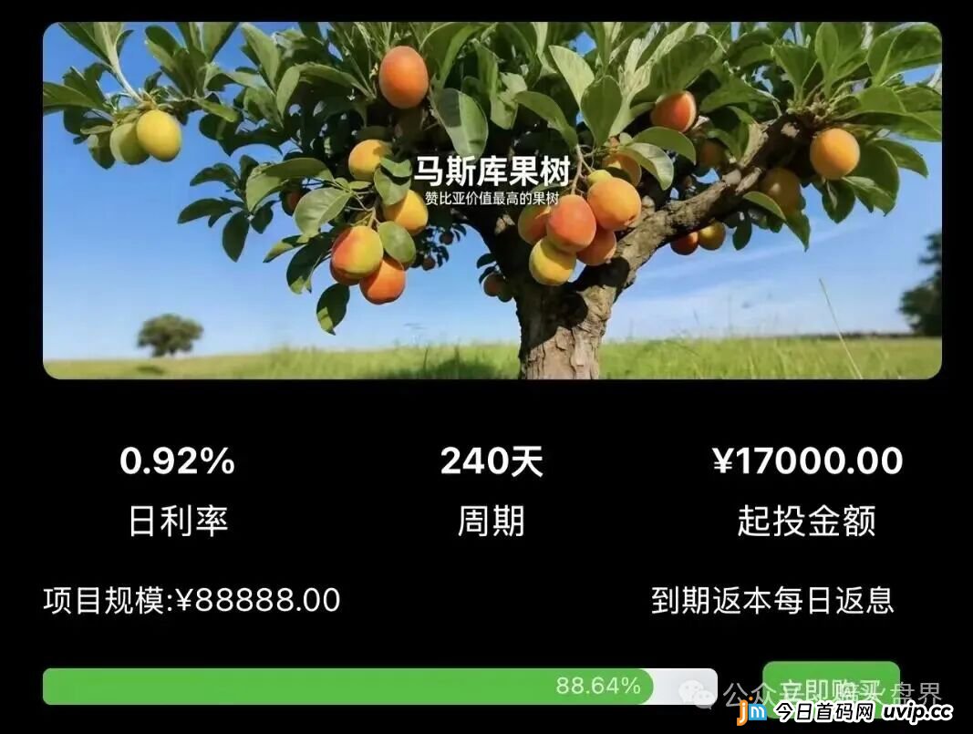 起底“华洋绿投”资金盘:年化超350%的海外种果树骗局,专坑想赚快钱的普通人(3) 起底“华洋绿投”资金盘:年化超350%的海外种果树骗局,专坑想赚快钱的普通人(3)