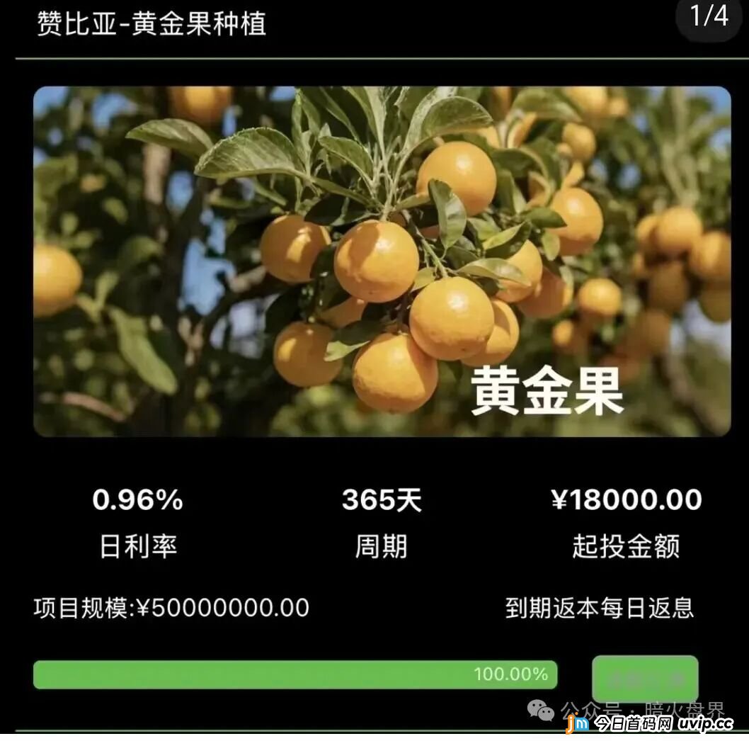 起底“华洋绿投”资金盘:年化超350%的海外种果树骗局,专坑想赚快钱的普通人(4) 起底“华洋绿投”资金盘:年化超350%的海外种果树骗局,专坑想赚快钱的普通人(4)