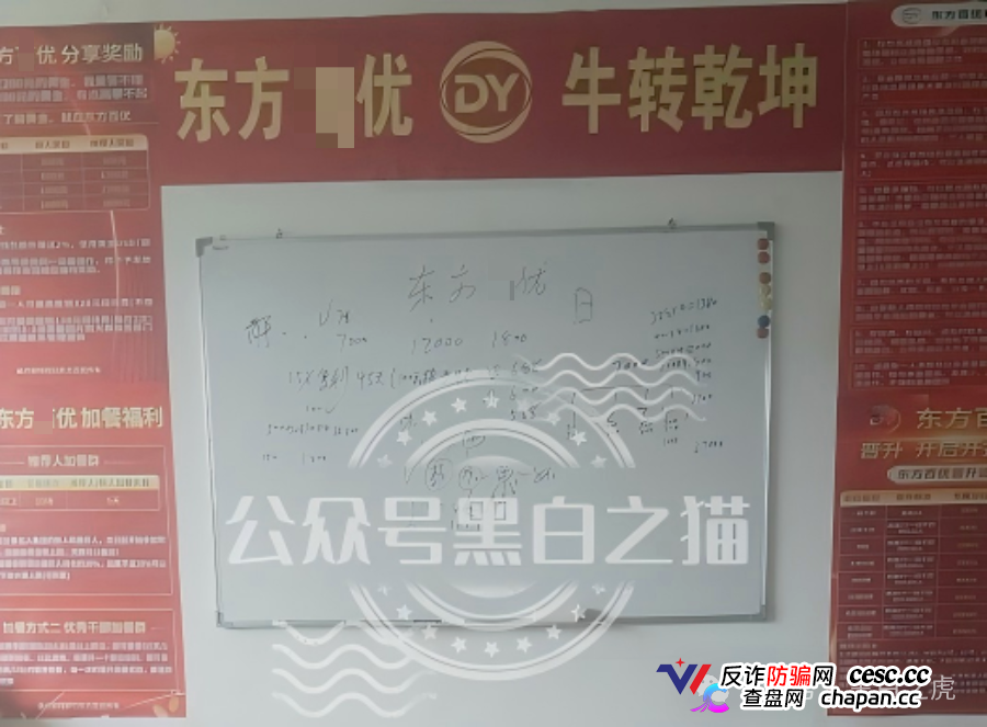 山东团队拉新变慢，项目方KPI定生死｜“东方百优”单割倒计时进入最后10天(2)
